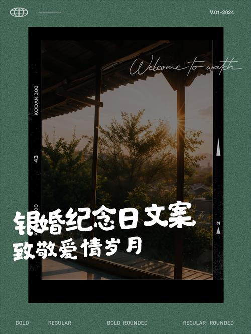 银币赐的婚礼_结婚送银币_银币赐的婚礼结局