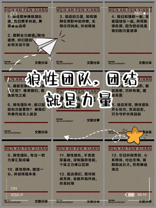 意思女人隆胸手术全过程拍照_team什么意思_意思相近的两字词