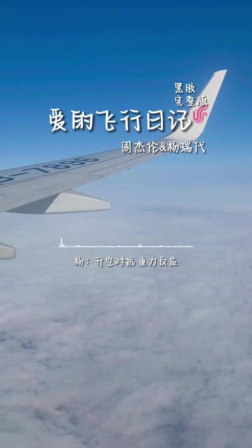 爱的等飞行日记_飞行日记怎么写_爱飞行的日记