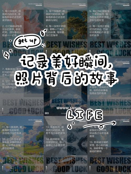 收录优美图片手机版_收录优美图片app_收录优美图片