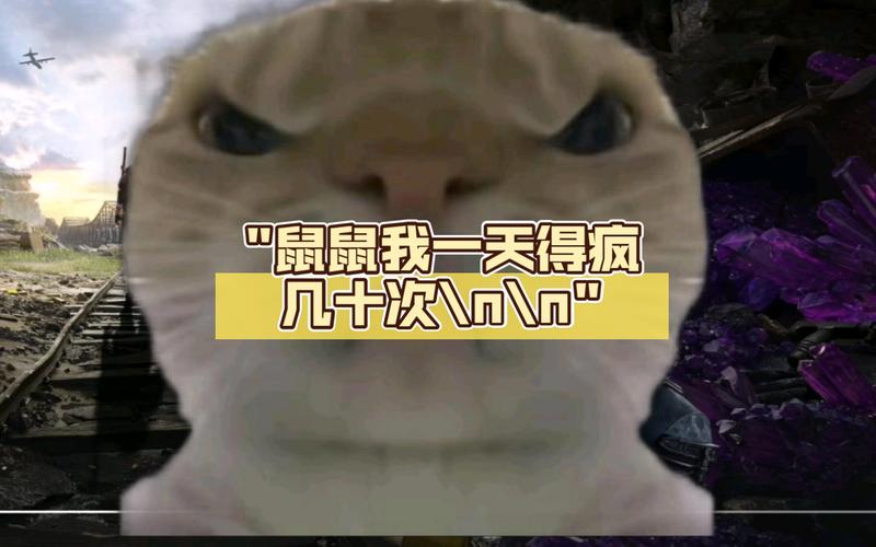火爆鼠_火爆鼠_火爆鼠