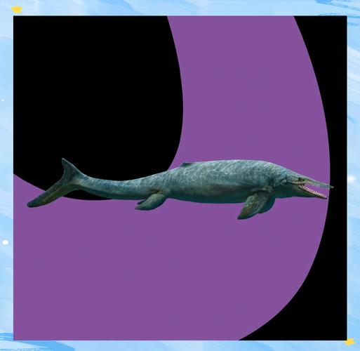 海王龙_海王龙和沧龙谁更厉害_海王龙vs沧龙