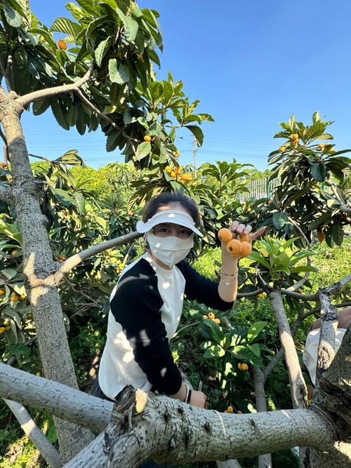 玩酷农场_360我的玩酷农场_360玩酷农场
