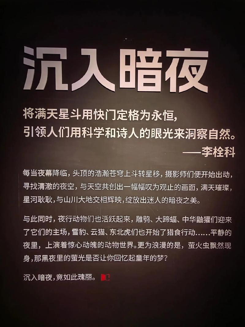 夜的第五章_夜章的意思_夜童