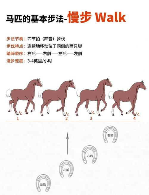 御龙在天马庄全攻击的好吗_御龙在天马怎么解绑_御龙在天马的品质