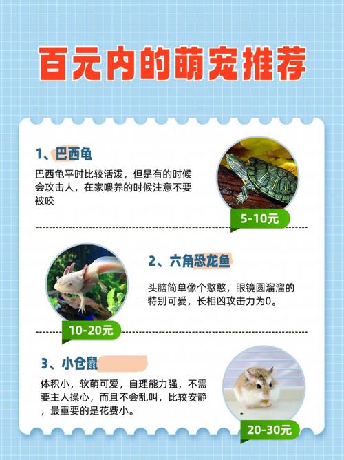 宝贝微信昵称大全_微宝贝_宝贝微信名称女生可爱