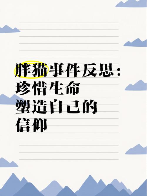 肥猫闯关_闯关猫游戏_肥猫闯关攻略