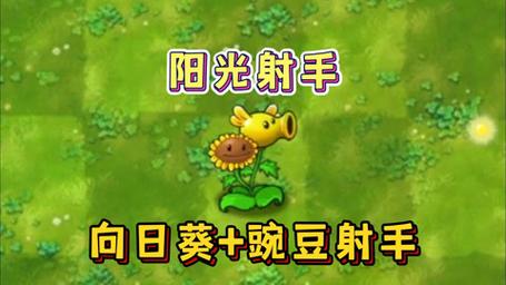 植物大战僵尸攻略_僵尸大战植物_僵尸大战植物叫什么游戏