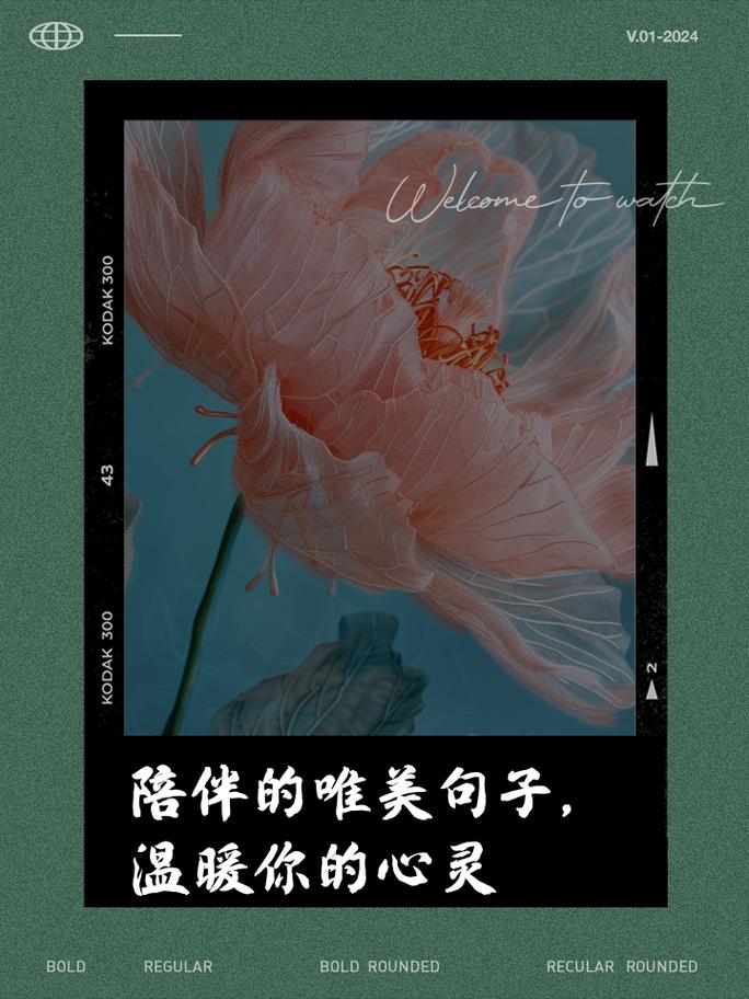 我们依然在一起_起风了_起床歌