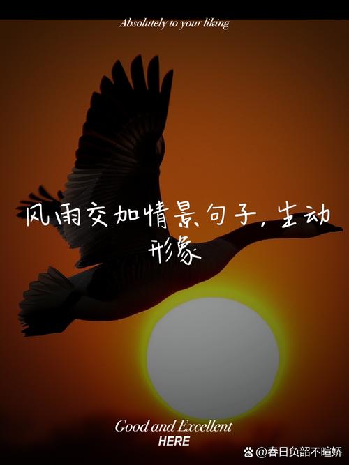 雨一直下风一直刮_刮风下雨的下一句_轿车刮雨器怎么喷水