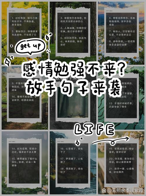 该不该就这样放手_该放手就放手再坚持也没有意义_该放手的时候就得放手说说