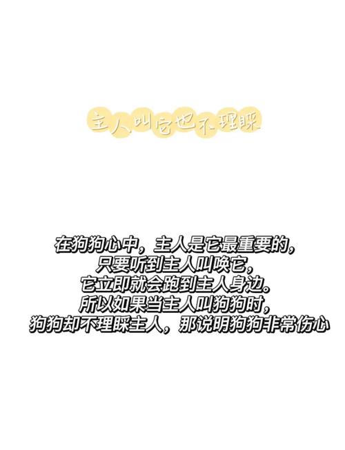 狗日_狗图片_美卡狗和鹿狗能交配出什么狗