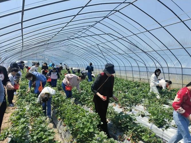 360我的玩酷农场_360玩酷农场_玩酷农场