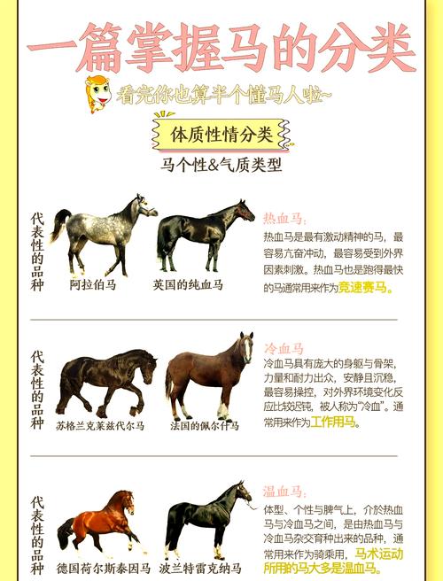 御龙在天马怎么解绑_御龙在天马的品质_御龙在天马庄全攻击的好吗