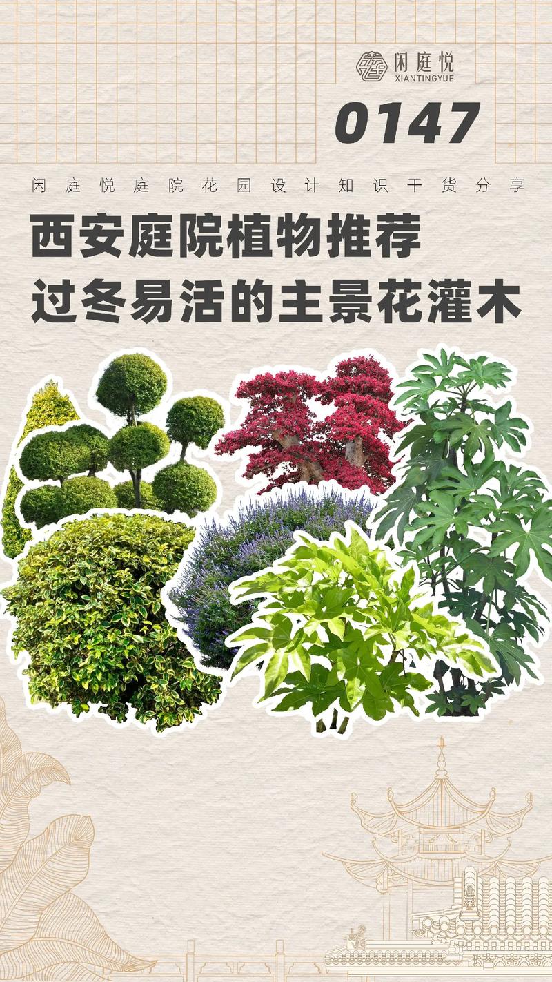 灌木图片_灌木图片大全简笔画_36种常见灌木图片