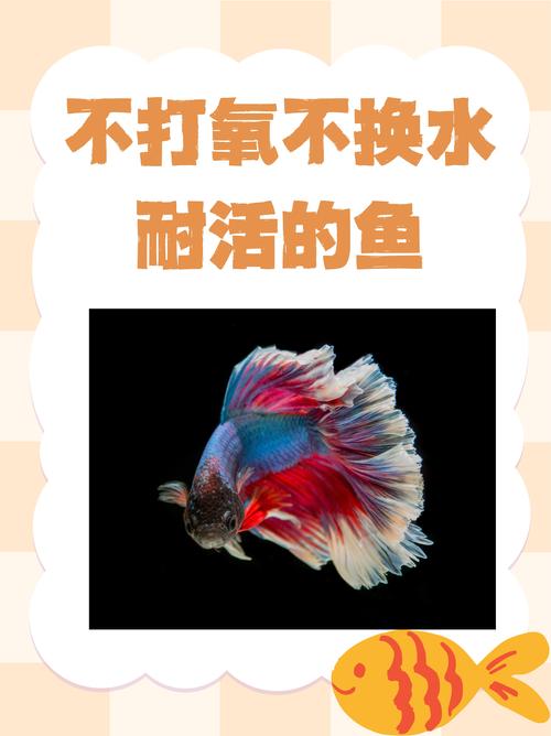 热带鱼屏保怎么卸载_手机版热带鱼屏保下载_热带鱼屏保注册码