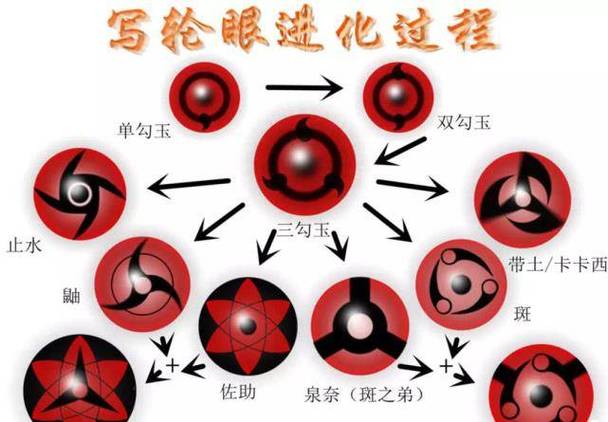 写轮眼最终进化_写轮眼的进化论_写轮眼排名进化
