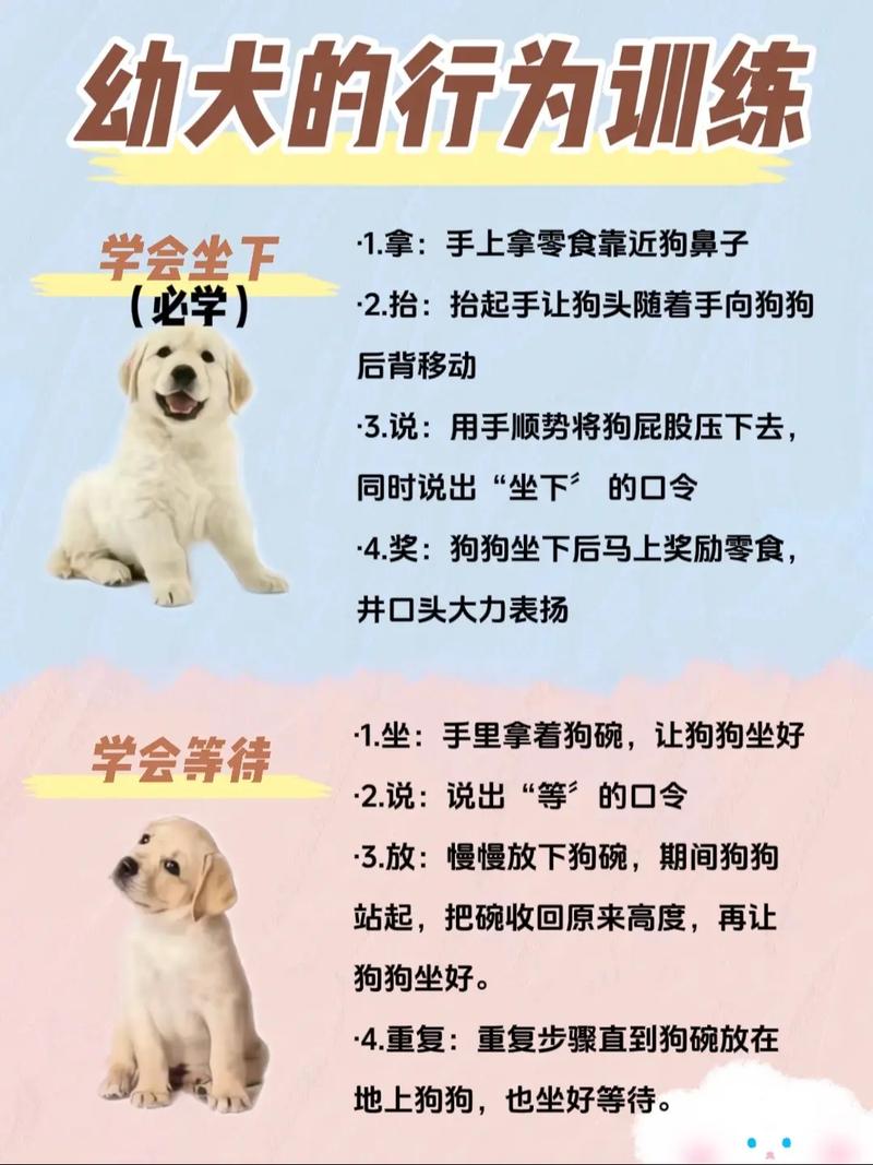 狗狗搜索资源软件_狗狗搜索资源网_狗狗资源搜索
