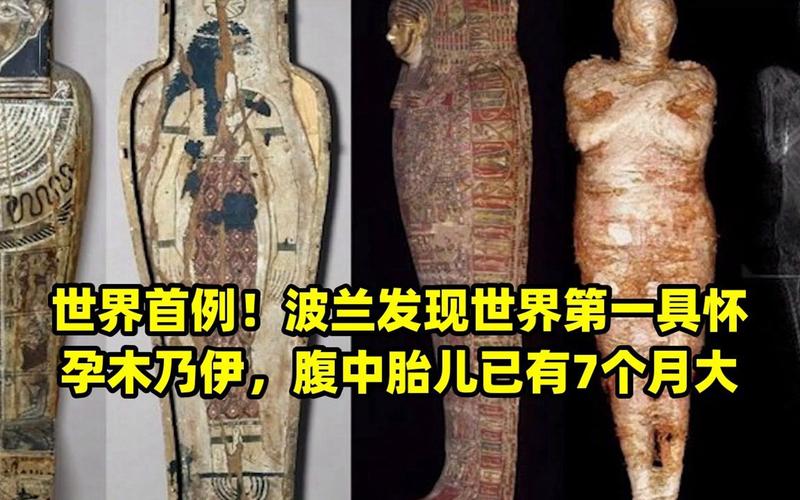 怀孕的木乃伊_怀孕木乃伊的婴儿_木乃伊怀孕