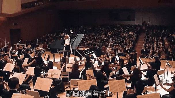 交响梦情人_情人交响梦动漫_情人交响梦最终牌动漫在线播放