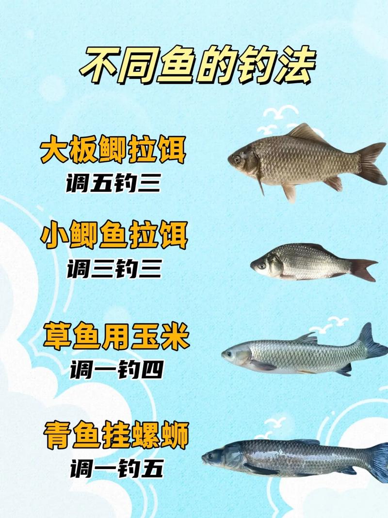 垂钓王者之战_垂钓王者_垂钓之王