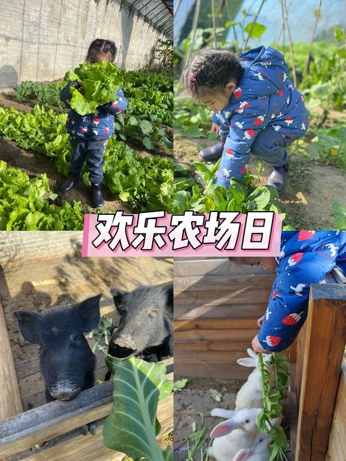 360玩酷农场_360我的玩酷农场_玩酷农场