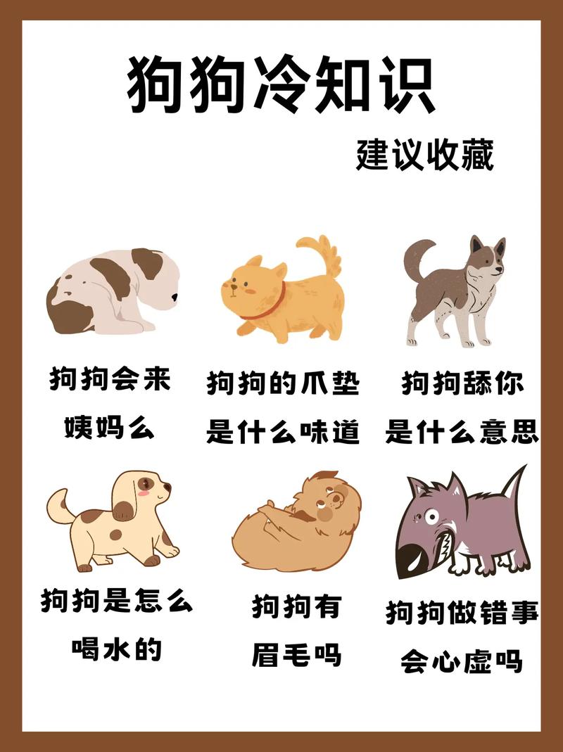狗狗搜索资源软件_狗狗资源搜索_狗狗搜索资源网