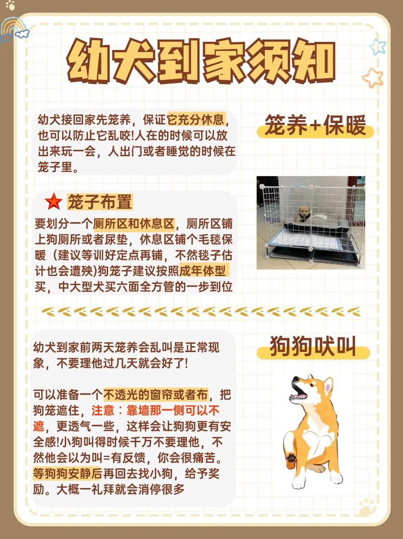 狗狗资源搜索_狗狗搜索资源网_狗狗搜索资源软件