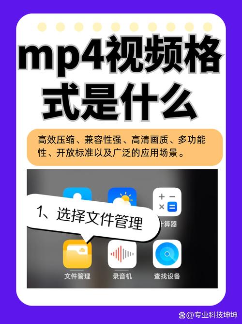 看电影播放器一共有哪些_看电影的播放器_电影播放器神器
