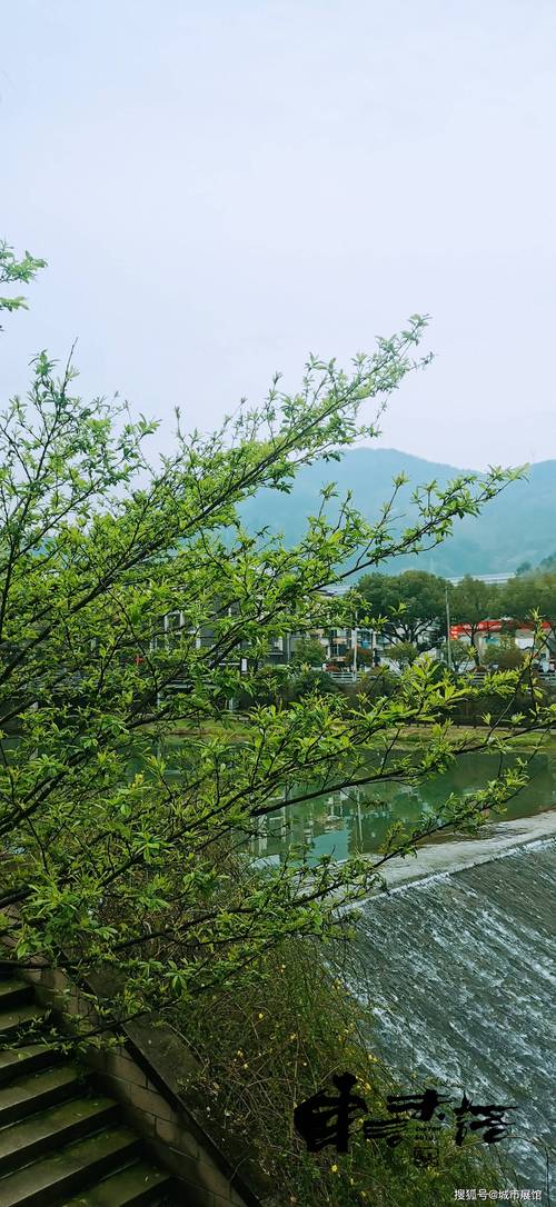 背影家园视频_背影家园网_爱背影家园