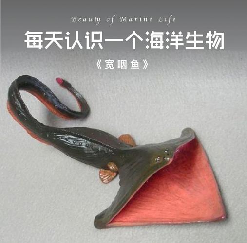 探秘深海巨腹鱼：神秘特性与独特进化的奇妙生物