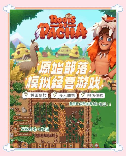 石器时代任务17173_石器时代任务大全图解_石器时代任务