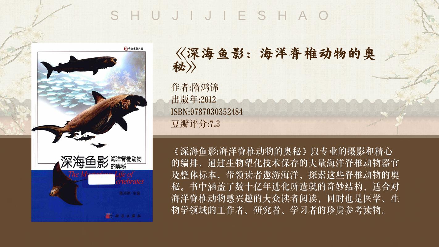 血鲨八卦_剑灵血浪鲨湾八卦最大值_血鲨八卦和武神八卦