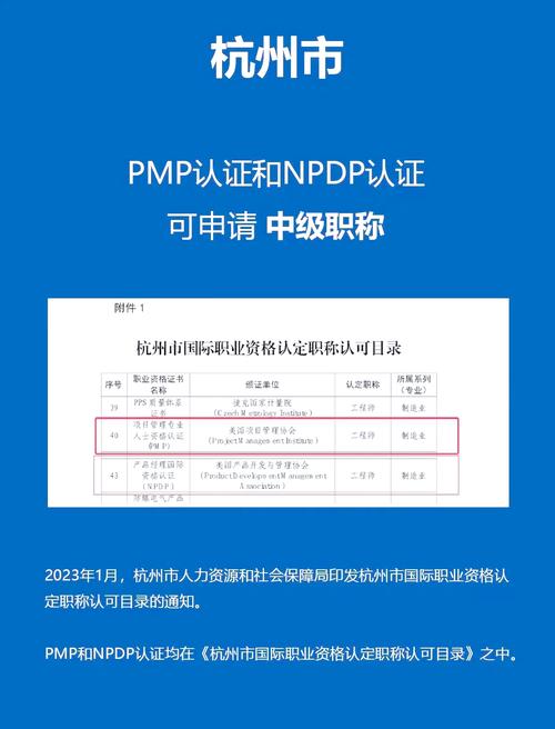 格式pm2_格式化什么意思_pmp格式