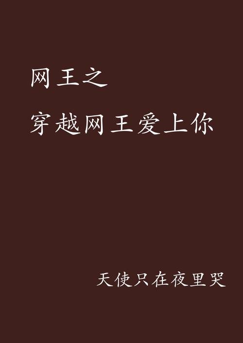 专为网王读者定制的穿越小说，带你领略奇幻网王世界精彩故事