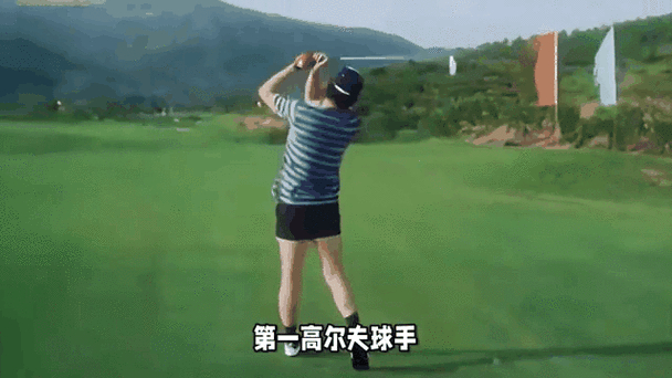 高尔夫平台_高尔夫平台介绍_高尔夫平台衍生的车