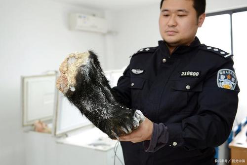 好吃熊掌的楚王_熊掌好吃吗_熊掌食材