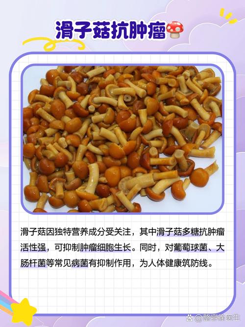 滑子菇种植技巧全解析：从选种到发菌的关键要点