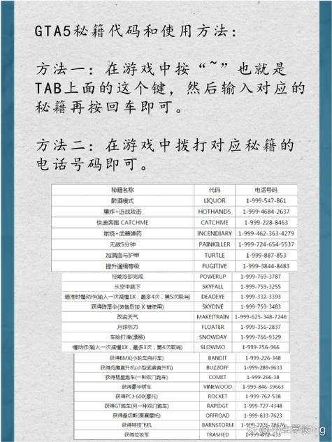 ps2侠盗飞车5秘籍_侠盗飞车秘籍版下载手机版_侠盗飞车汽车飞行秘籍