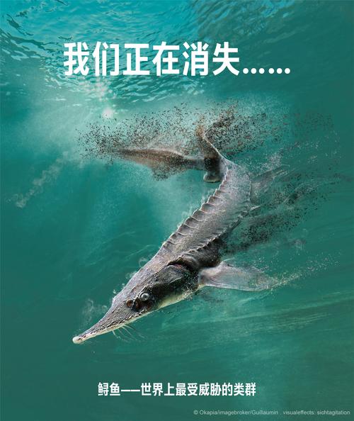 拯救孢子人迫在眉睫！环境污染致其生存困境，亟待援助