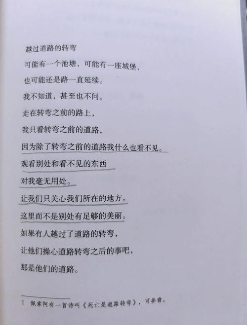 佩波在哪里 探寻佩波踪迹：追寻熟悉与温馨，它可能在这些地方露面