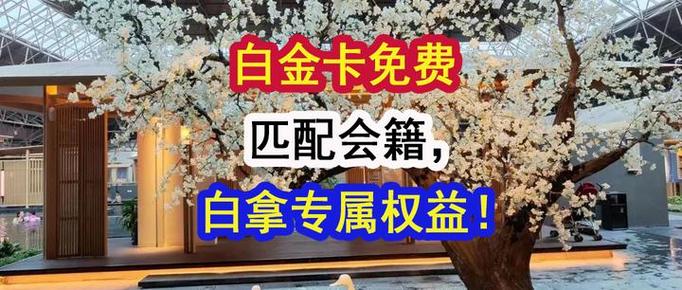 白金卡兑换网站_兑换白金卡网站是什么_兑换白金卡网站官网