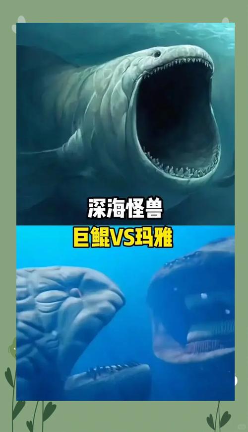 深海巨腹鱼群在哪_深海巨腹鱼_巨型深海鱼