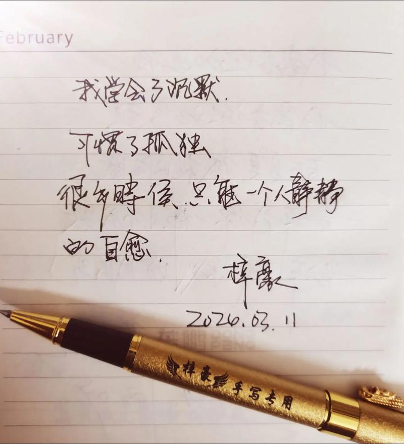 我寂寞寂寞就好_寂寞就好歌词_寂寞寂寞就好