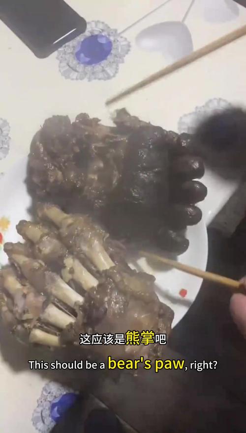熊掌好不好吃引争议，猎食熊掌违法且代价巨大