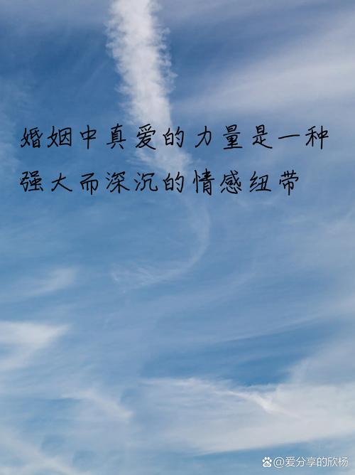 我说不走了，简单话语背后藏对小 5 的深厚情感与留恋