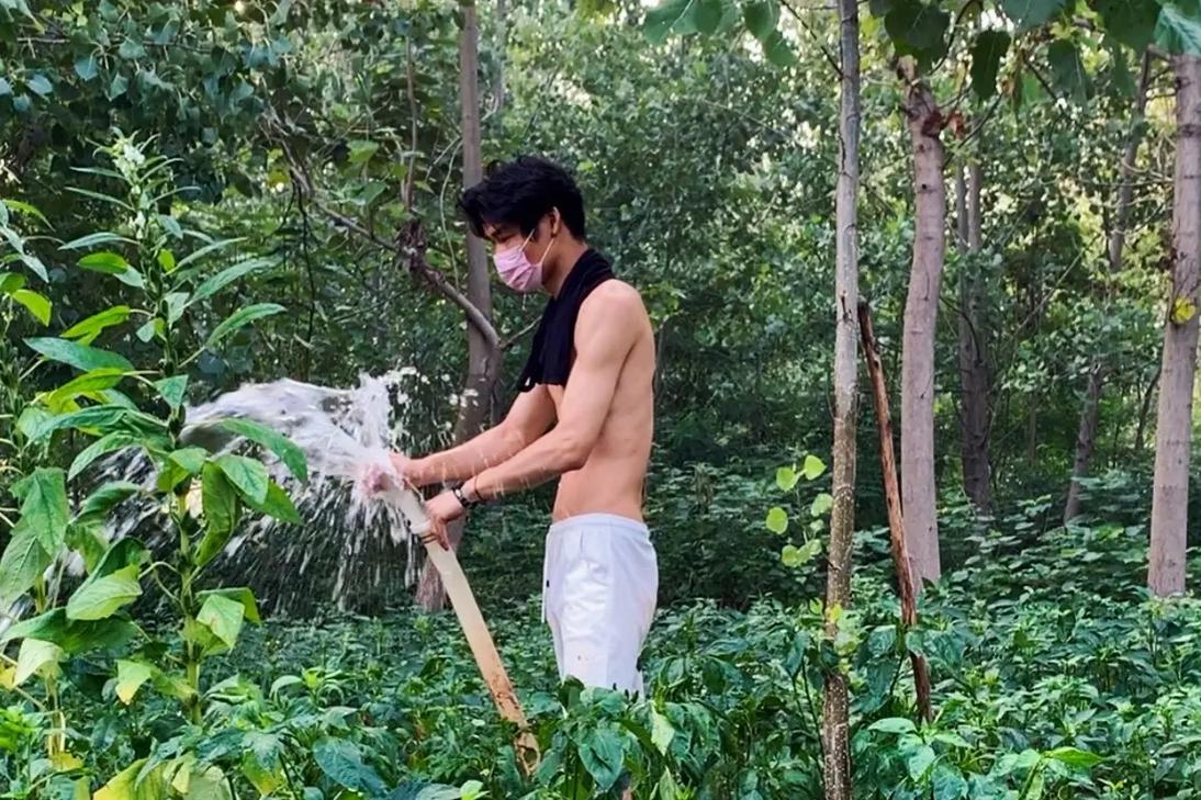 男模大鸟引好奇，背后藏着对不同生活形态的探求