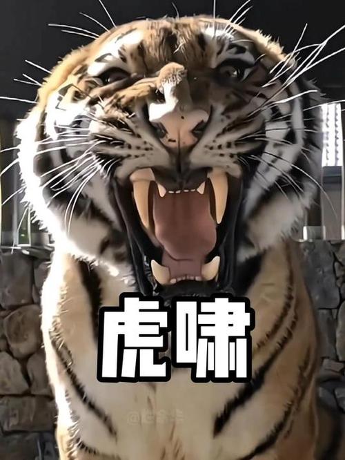 西游虎妖_西游之虎震三界_西游之虎啸