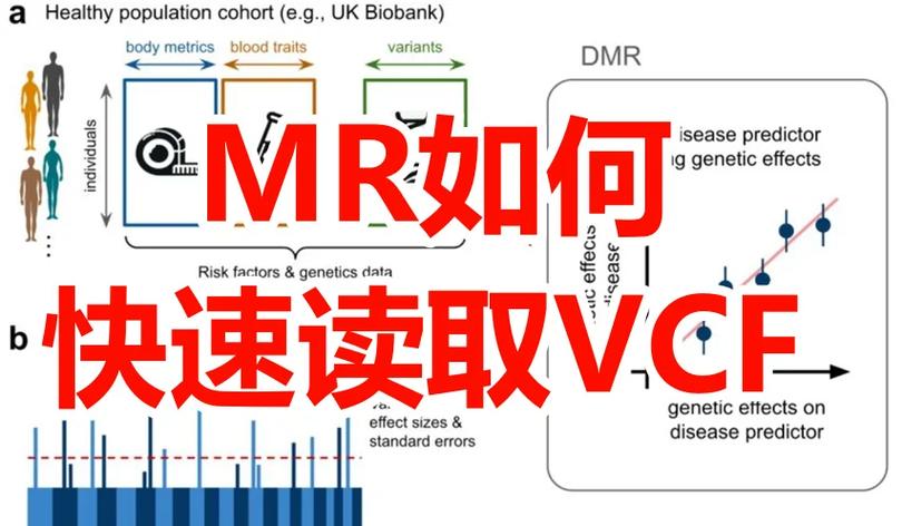 vcf转csv_vcf转csv_vcf转csv