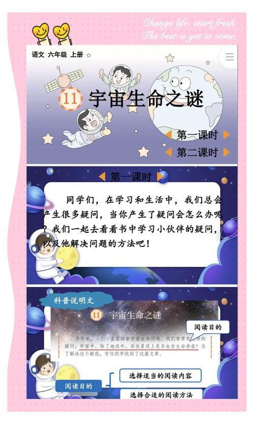 sjdzs_神经递质是什么意思_水晶带左手好还是右手好女